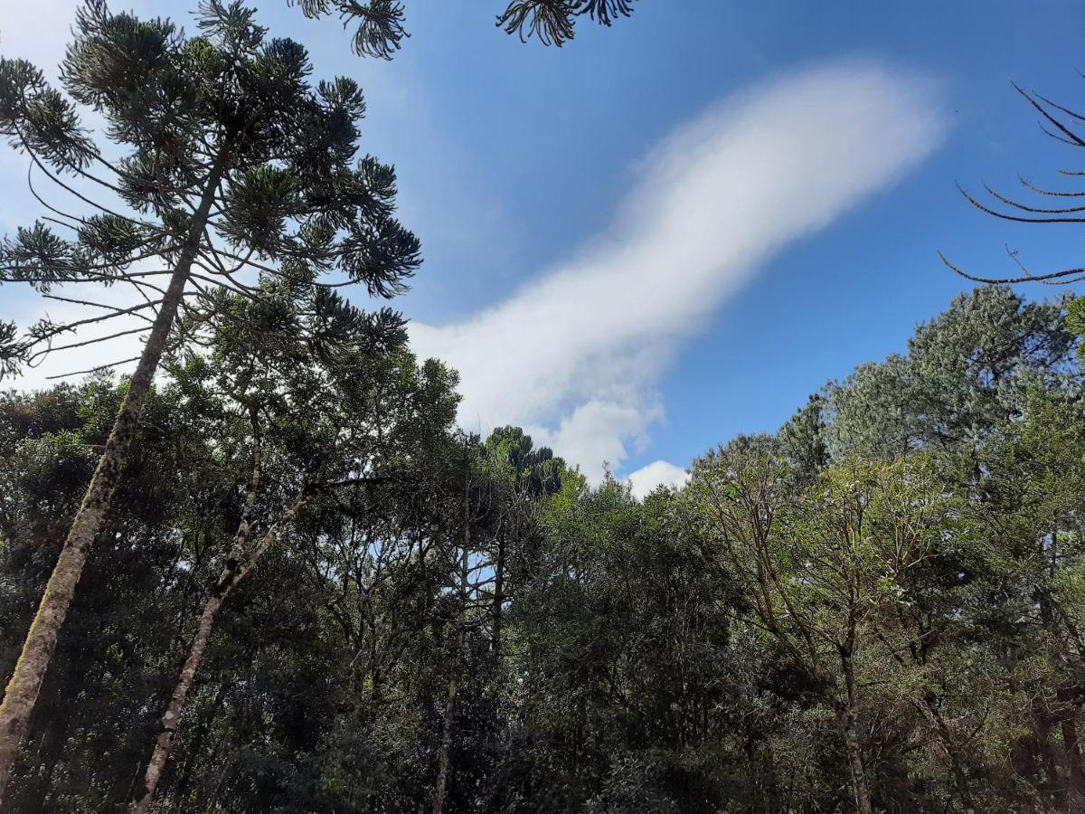 Pousada Bruxa Marela Monte Verde  Exteriör bild